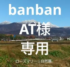banban AT様 リクエスト 6点 まとめ商品