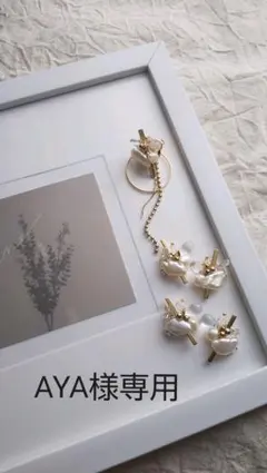 AYA様専用ページ⭐️