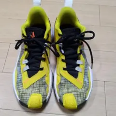 NIKE　ジョーダンワンテイク4 PF 24.5cm