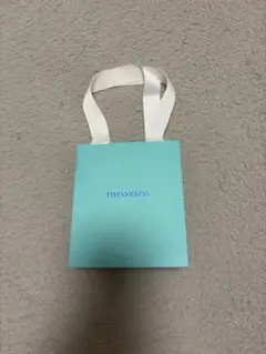 【美品】 TIFFANY ティファニー 紙袋 ショッパーのサムネイル