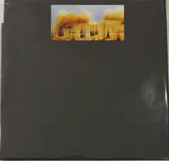 DRIFT / MEMORY SIGNAL BONOBO 限定400枚レコード - メルカリ