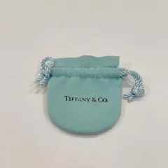 極美品》 ティファニーTiffany 巾着袋 - メルカリ