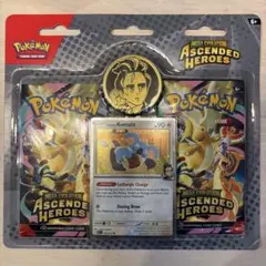 ポケモンカード　アオキ　メガエボリューション　海外