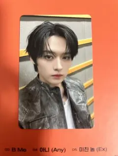 【Straykids】トレカ 会場限定 オフイベ GIANT【リノ】