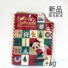 新品★TDR限定品★スーベニアランチケース★クリスマス★ディズニー