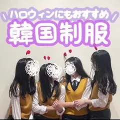 文化祭 スクールベスト ニット 制服 学生 高校 JK DK 女子高生 韓国制服