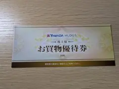 ヤマダ電機 株主優待券 5000円分 (500円券×10枚)