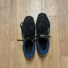 Item thumbnail for item 07e20e7d-1f34-423c-a1d2-2411a31af05c