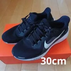 NIKE AIR ZOOM PEGASUS 42 ペガサス　ブラック 30cm
