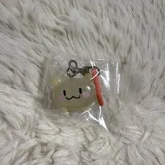 TRUZ RURU めじるしアクセサリー　キラキラスペシャルラメ