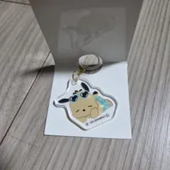 ポチャッコ アクリルキーホルダー サンリオ アンブレラチャーム 日焼け
