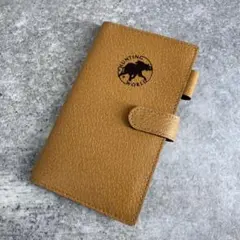 Item thumbnail for item 70e6e811-67c4-481e-931a-f9c66b67a71a