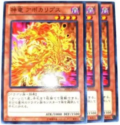 早い者勝ち！　大人気！　遊戯王　神竜 アポカリプス　ノーマル　3枚　収録弾統一