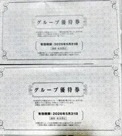 阪急阪神ホールディングス　グループ優待券　2冊（※乗車券は付いていません）
