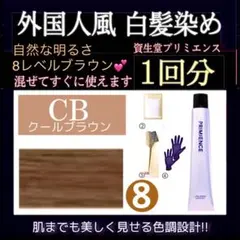 プリミエンス CB1ブラウン【ホワイトブリーチ剤 アディクシー スロウ同梱割有cのサムネイル