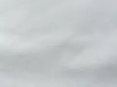 Item thumbnail for item 568e02fb-9db7-4034-bc7d-4b11d4f3894a