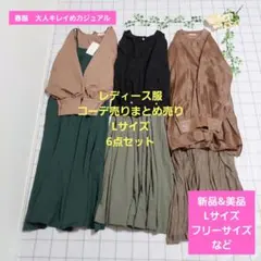 レディース服コーデ売りまとめ売り　Lサイズ6点　春服大人キレイめカジュアル