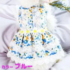 Item thumbnail for item a15cb74e-85e7-4054-a181-8b68f3a4e73d