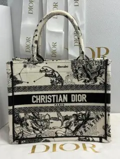 CHRISTIAN DIOR ハンドバッグ HERACLES
