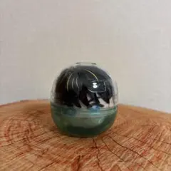 INI かぷっこふれんず 髙塚大夢