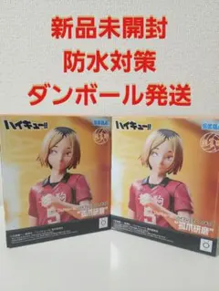 ハイキュー!! 孤爪研磨 フィギュア 2体セット
