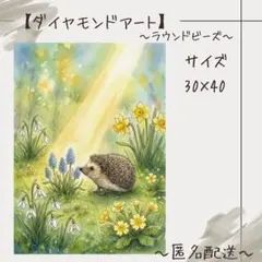【ダイヤモンドアート】　ビーズアート　ラウンドビーズ　30×40　ハリネズミ