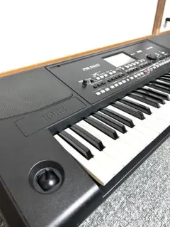 2025年最新】korg pa300の人気アイテム - メルカリ
