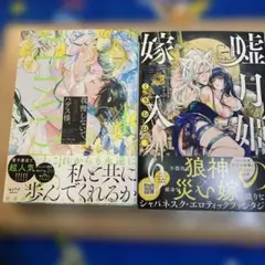 嘘月姫の嫁入り～捨てられた私が狼神様に寵愛されるまで～ 1