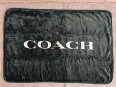 Item thumbnail for item 445cad72-6426-4947-a01b-7db85ce15c00