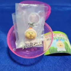 こびとづかん めじるしマスコット ホト カクレモモジリ ガチャ ②