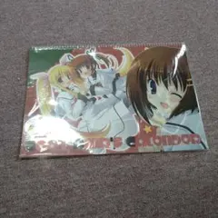 2007 AMR'S CALENDAR カレンダー