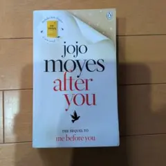 Jojo Moyes After You