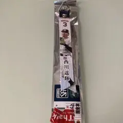 マッチボンフィン　ヤクルト　西川