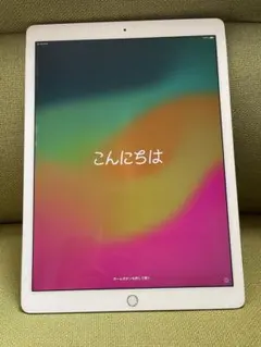 iPad Pro (12.9インチ) 第2世代Cellular 256GB