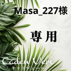 【Masa_227様専用】