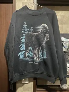 FRUIT OF THE LOOM ヴィンテージアニマルスウェット L