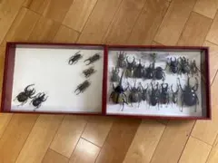 日本遺物模型 縄文 弥生時代 土偶 石器 71点 学校教材 109×79cm - メルカリ