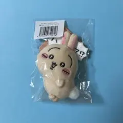 ちいかわ うさぎだらけくじ E賞 ぬいぐるみバッジ（ハァ！？）（2）