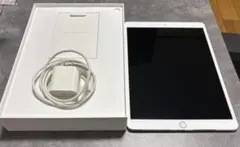 Wi-Fi iPad Pro 10.5 本体 64GB シルバー