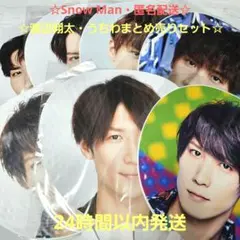 ☆未開封・匿名配送☆SnowMan 渡辺翔太 うちわ まとめ売りセット