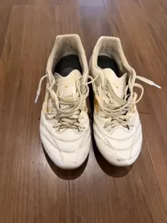 Mizunoモナルシーダ　サッカーシューズ ホワイト