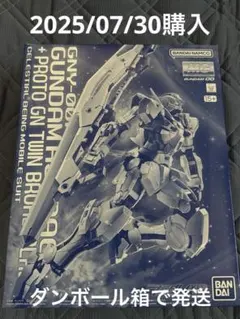 【新品】MG 1/100 ガンダムアストレア＋プロトGNツインブロードブレイド