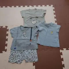 Tシャツ3枚とゼブラ柄ショートパンツセット