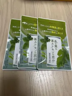 和漢の森 桑の葉＆茶カテキンの恵み ×3袋 (3ヶ月分) - メルカリ