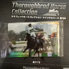 サラブレッドホースコレクション ウエハース 3R ソウルラッシュ