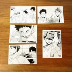 【匿名配送】ハイキュー‼︎10thクロニクル 思い出スナップフォトカード 青城