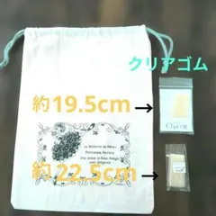 チャコット　シルビア　バレエシューズ　トゥシューズ　クリアゴム　巾着セットのサムネイル