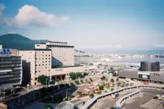 ◯ふっちゃんさまご専用◯