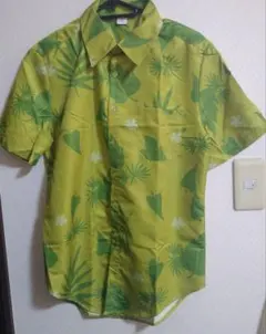 Item thumbnail for item 1e3a441c-48f2-4bbd-9287-e73eb427e8ec