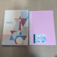 Item thumbnail for item 9e2f3621-d8cb-4845-b68a-193f5f395044